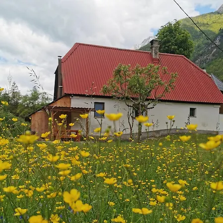 Idina Domacija トレンタ