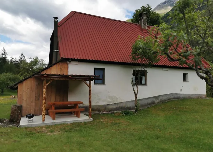 Idina Domacija * Trenta