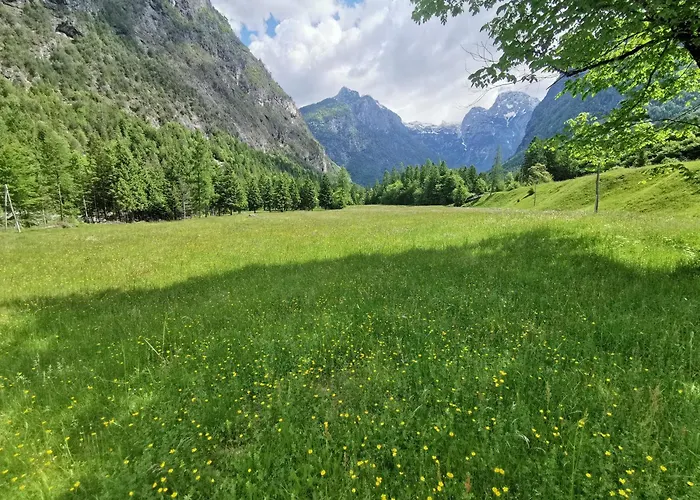 Idina Domacija * Trenta