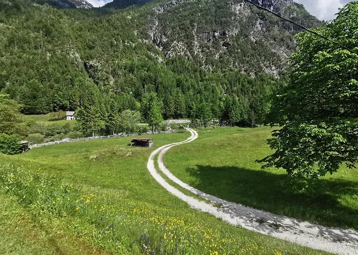 Idina Domacija Trenta